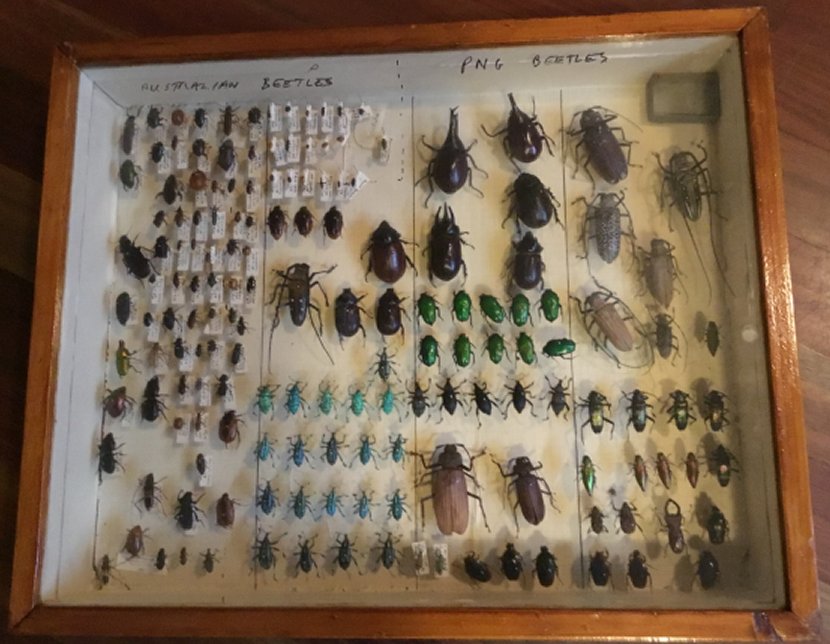 R Wilkinson Drawer 2